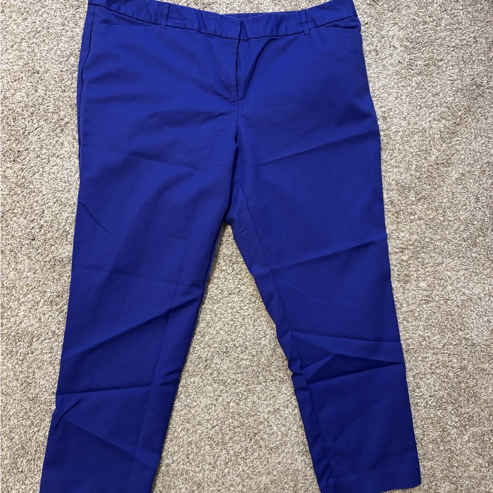 Vibrant Blue Pants